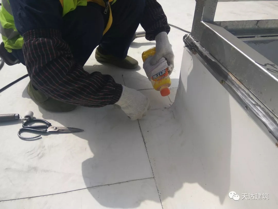 TPO防水卷材,防水涂料,丙烯酸防水