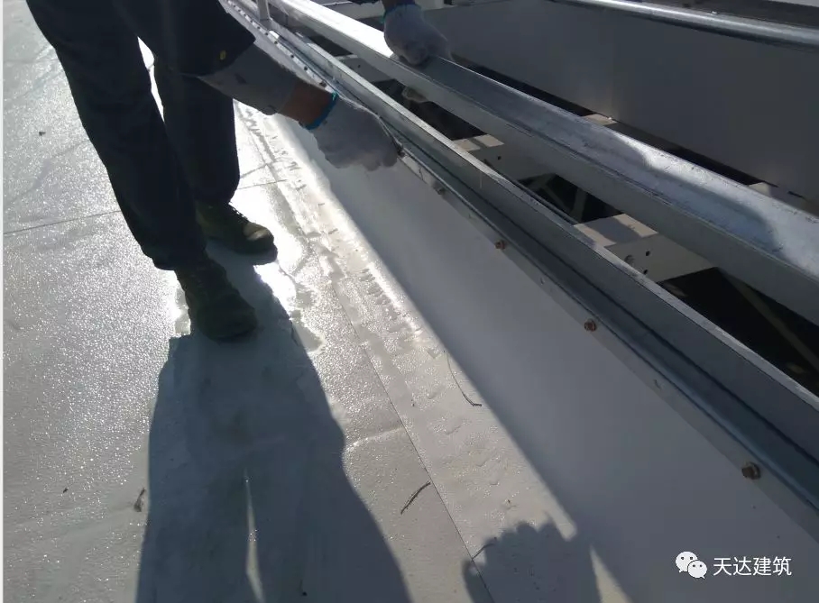 TPO防水卷材,绿色屋面,光伏屋面