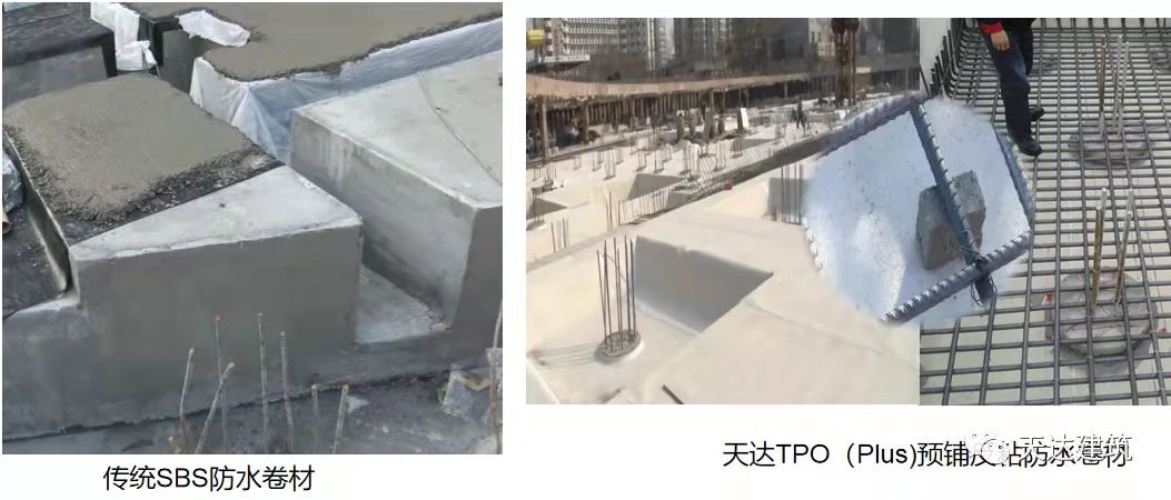 TPO防水卷材,种植屋面,耐根穿刺