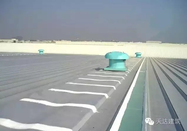 天达TPO防水卷材,预铺反粘,耐根穿刺