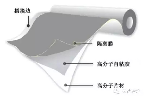 TPO防水卷材,预铺反粘,耐根穿刺